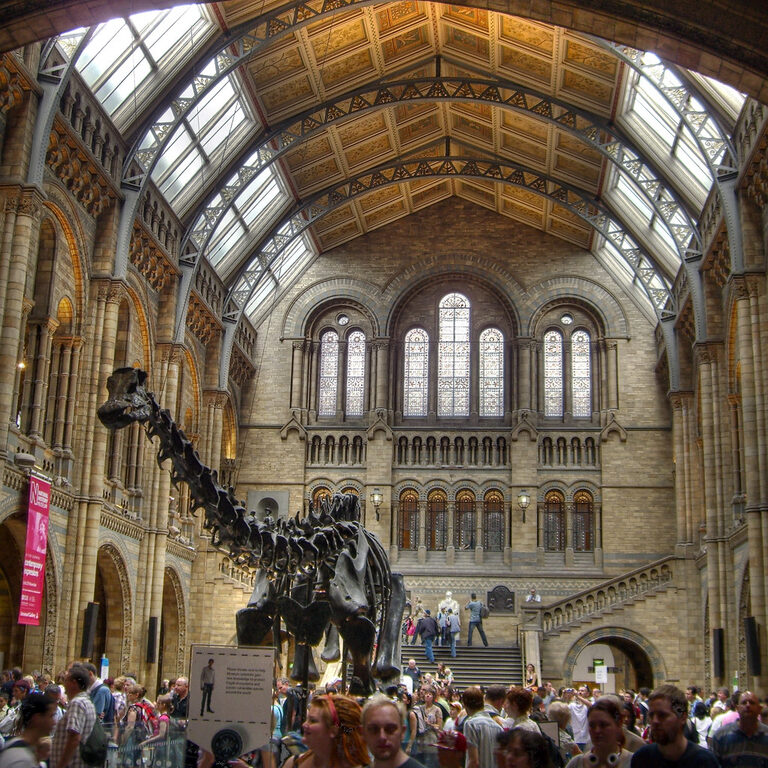 Dippy the diplodocus skeleton in the main hall, with crowds below and the arched glass and iron roof above