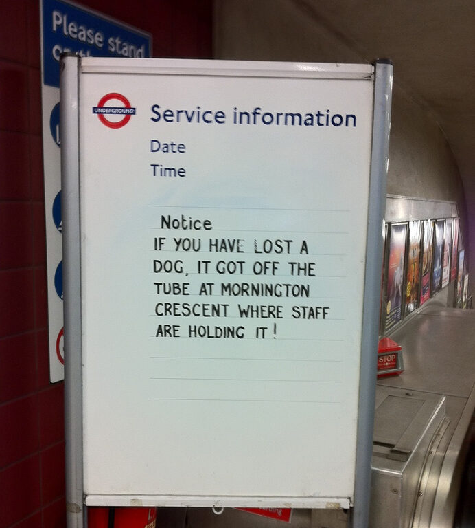 A Tube 'Service information' whiteboard with a handwritten notice: if you have lost a dog, it got off the Tube at Mornington Crescent, where staff are holding it