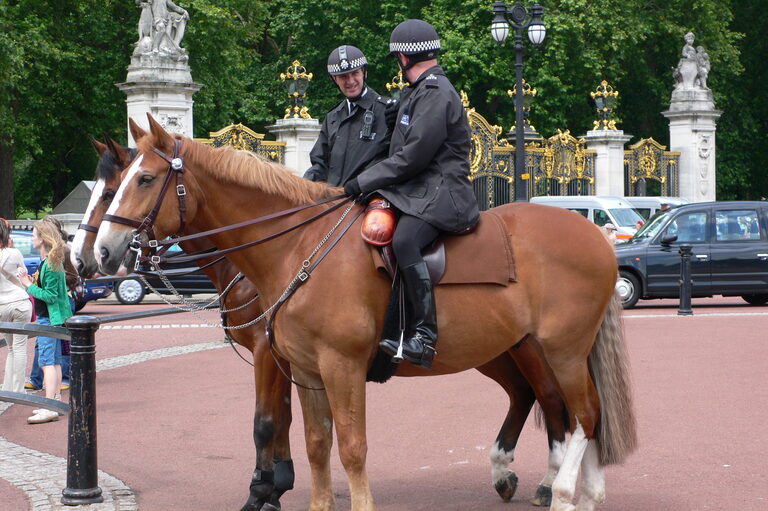 Two police officers in dark jackets and chequered riding helmets on brown horses, in front of black and gold gates