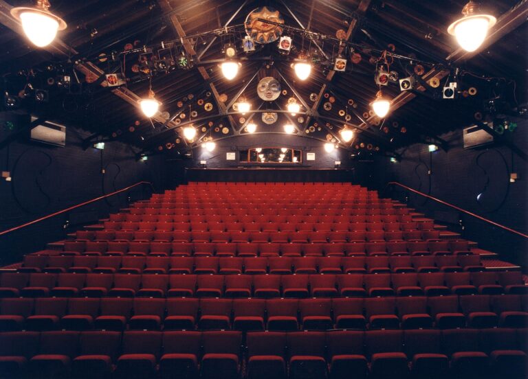 Polka Theatre auditorium