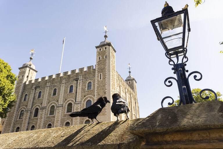 Two ravens standing on a stone wall beside an old black lamp post, with the White Tower behind them