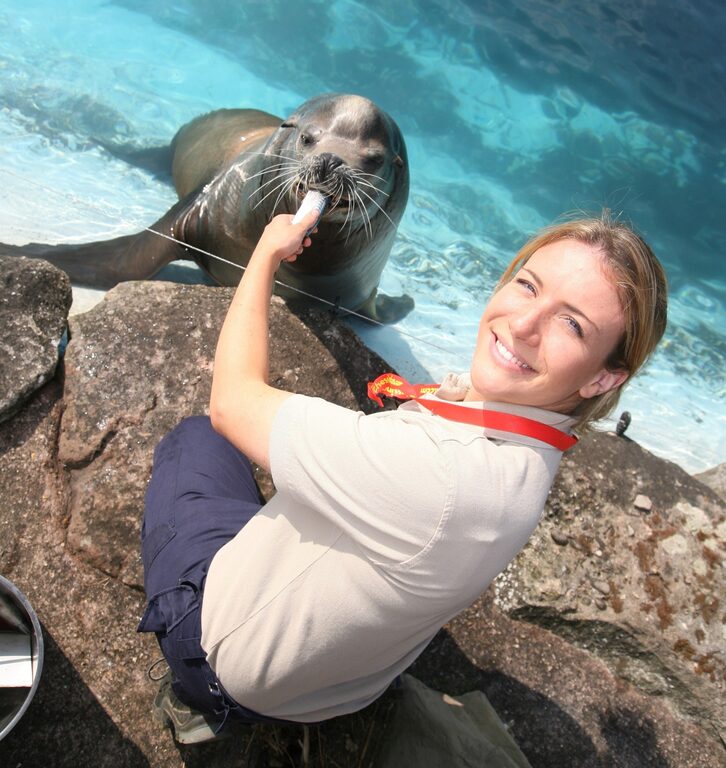 A smiling keeper crouched on rocks, holding a fish out to a sealion in the water
