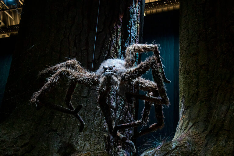 The giant hairy spider Aragog, its long legs spread, clinging to a huge tree trunk in a dark forest set