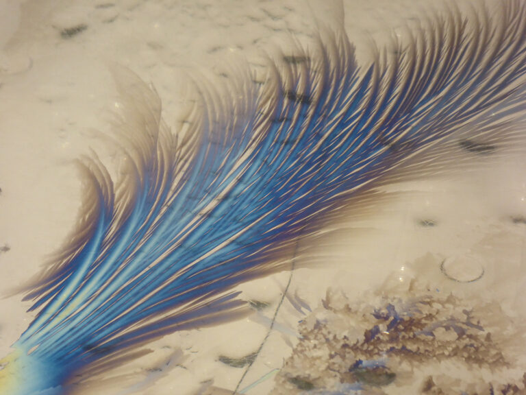 Blue, feather-shaped ice crystals spreading across a white surface