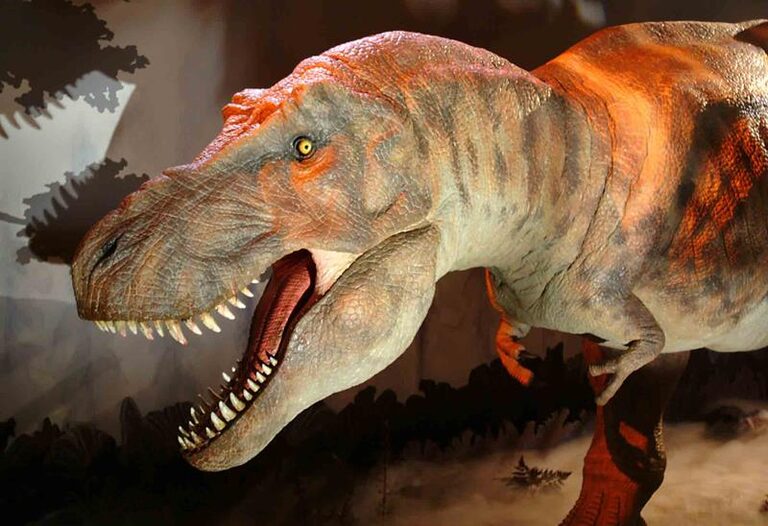 The animatronic T. rex leaning forward with its mouth open, showing rows of teeth
